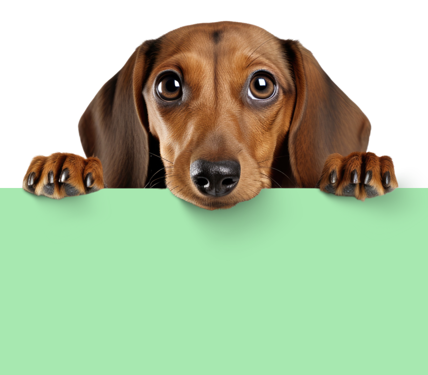 Happy pet parents