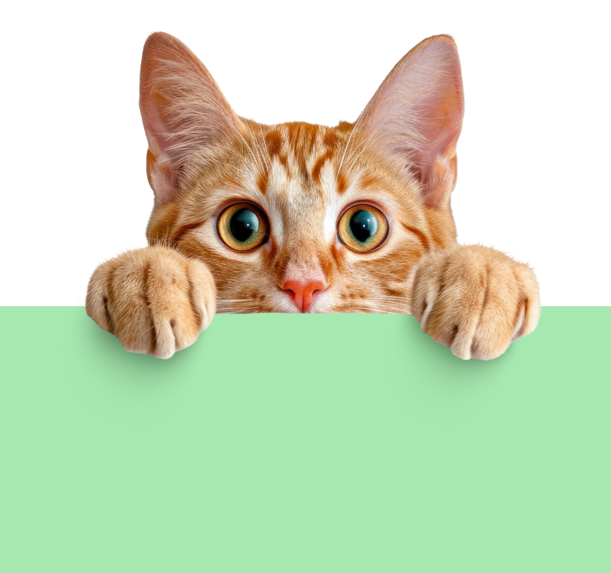 Pet care essentials
