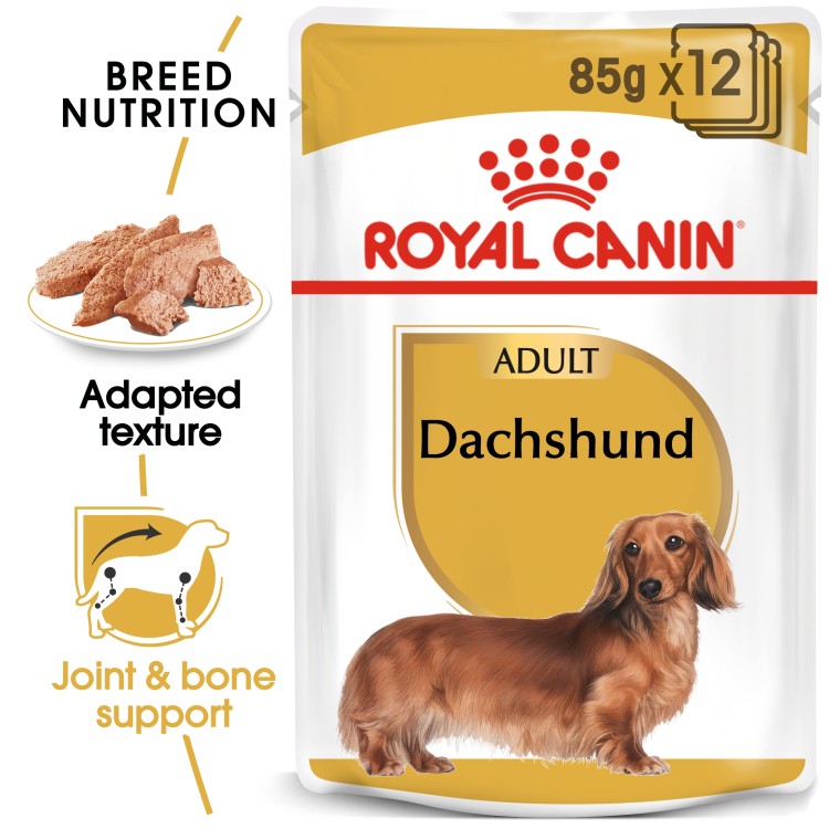 Royal Canin Dachshund Adult Wet Food 12 x 85g