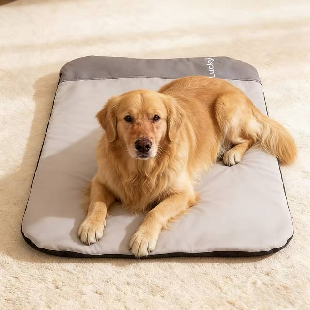 Extra Large Cool Luxurious Synthetic Leather Dog Mat