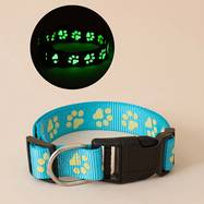 Collar with a Pet Paw Print Design That Glows in The Dark ( M ) - Sky lue