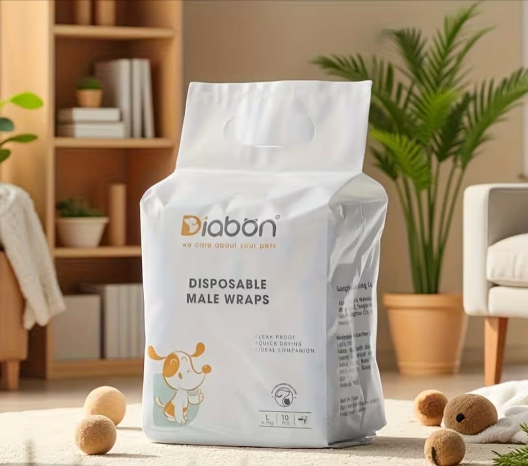 Stylish Dog Diapers XL