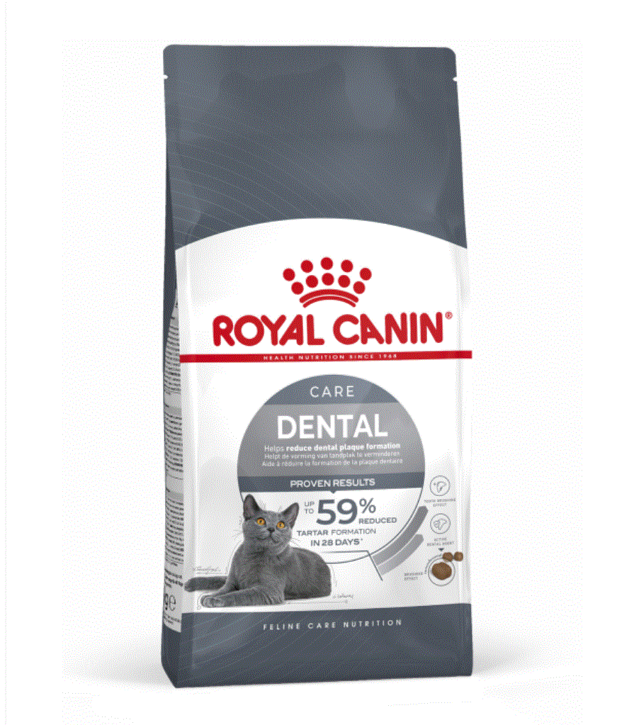 Feline Care Nutrition Dental Care