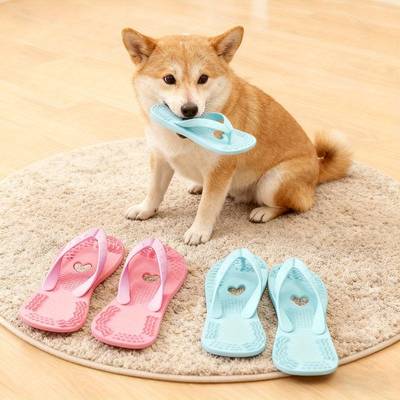 Dog Chew Flip-Flop Toy