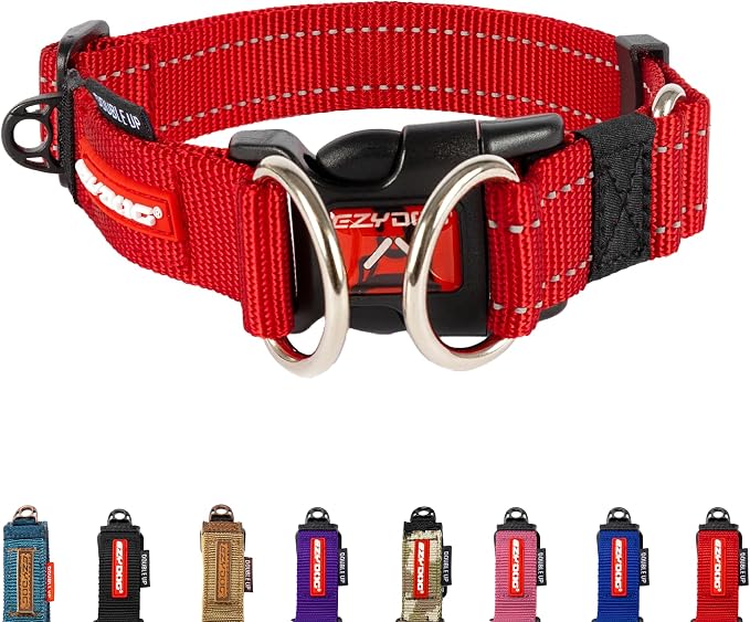 ZYDOG Double Up Dog Collar Large