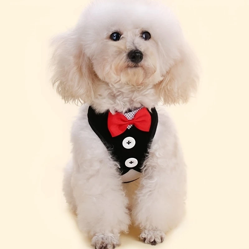 Tuxedo Harness Vest with Leash Large for Small Breed