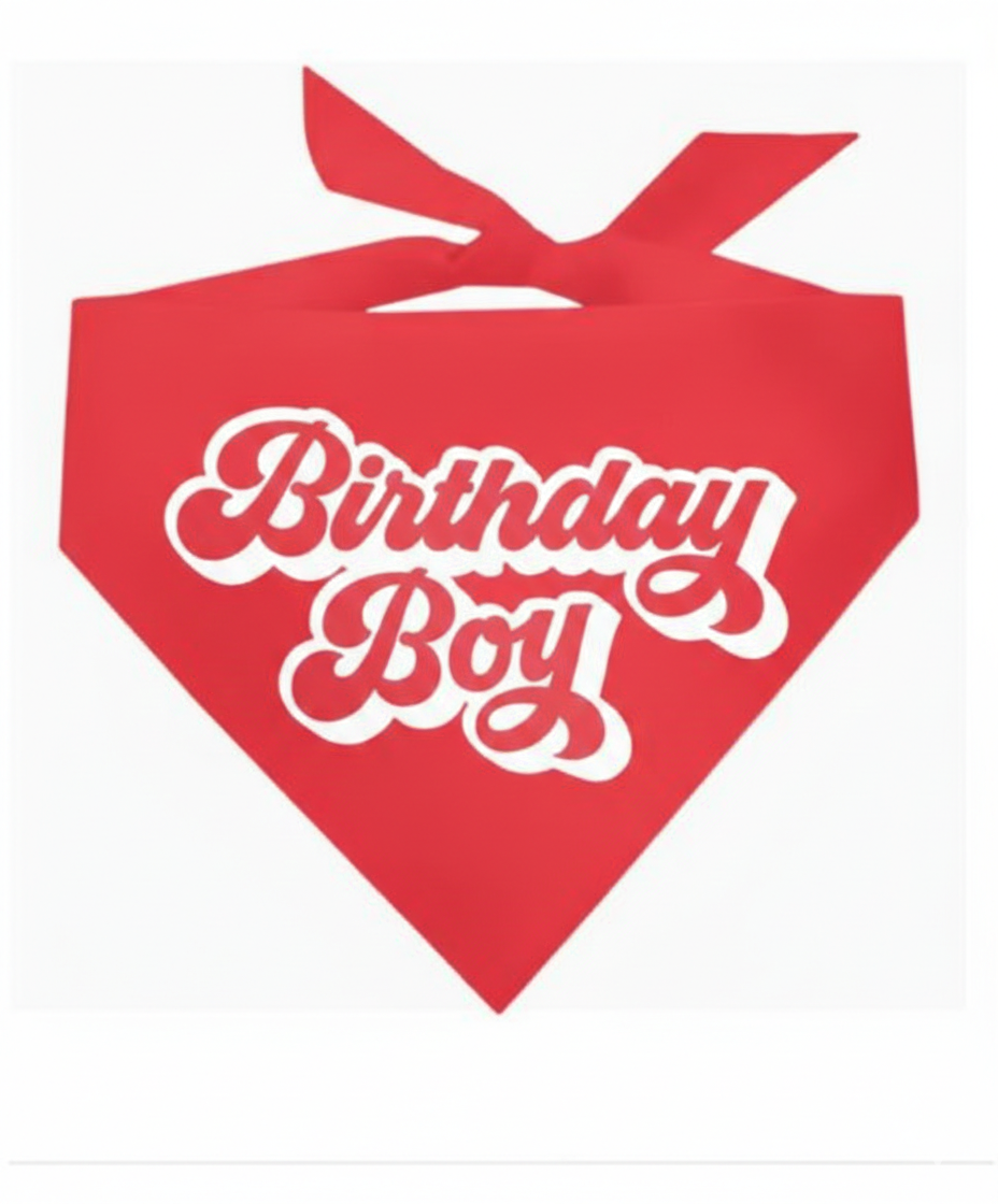 Bithday Boy Scarf Red