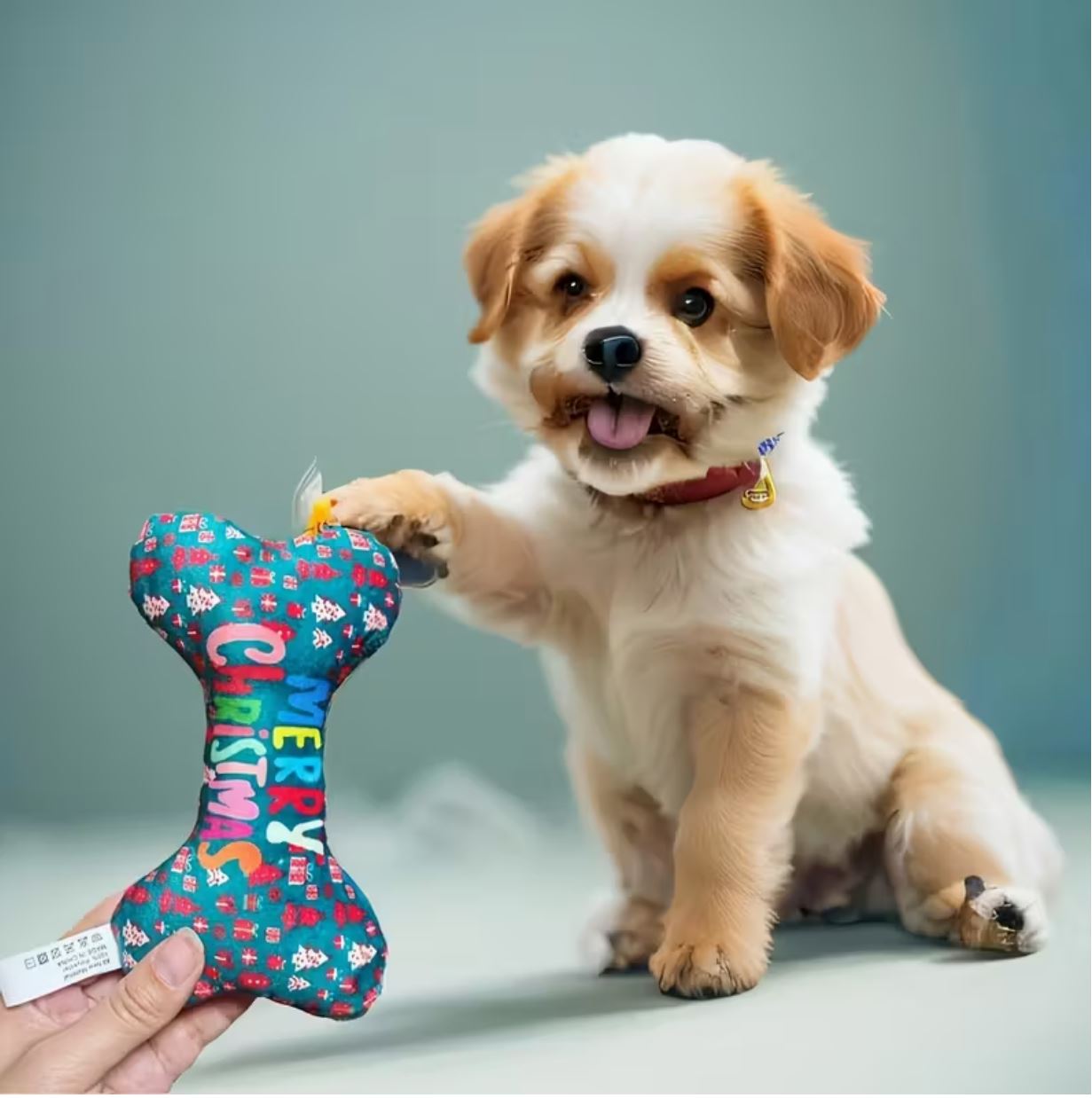 Christmas Plush Bone Toy
