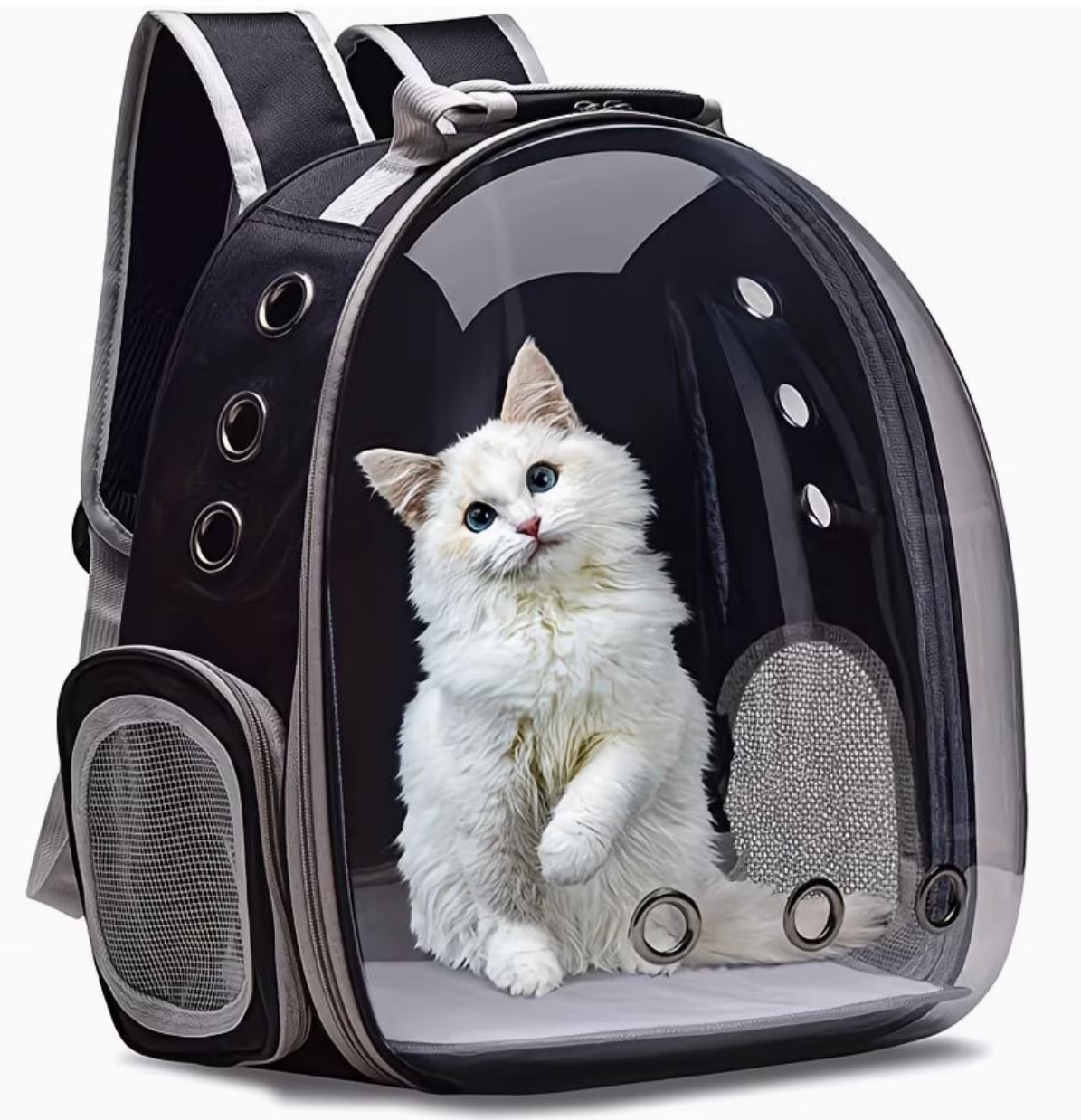 Transparent Breathable Cat Backpack