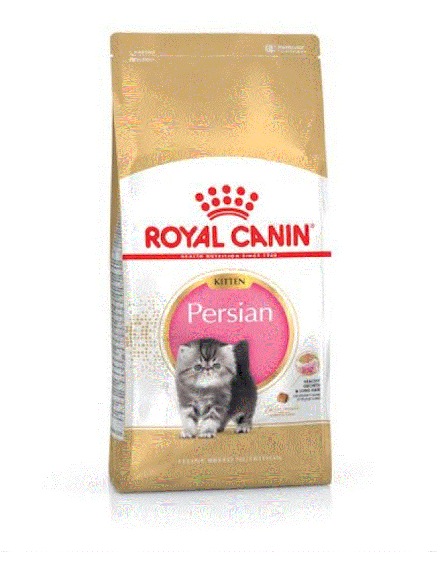 Feline Breed Nutrition Persian Kitten