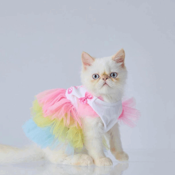 Pet Dress Barbie V2