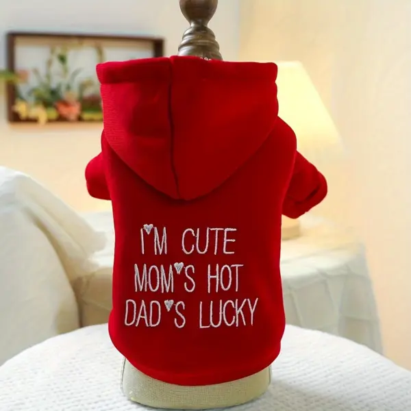 Im Cute Sweater for Pets