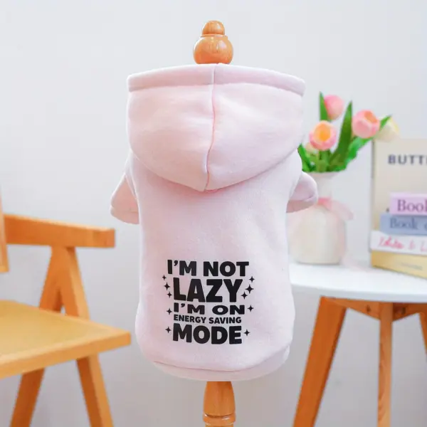 "I'M NOT LAZY ON ENERGY MODE" Cozy Pink Hoodie Medium
