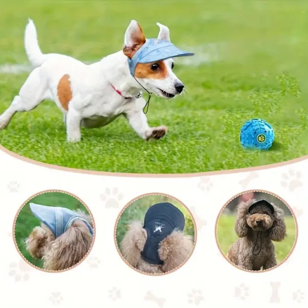 Tail Up Baseball Cap for Dogs Blue Medium