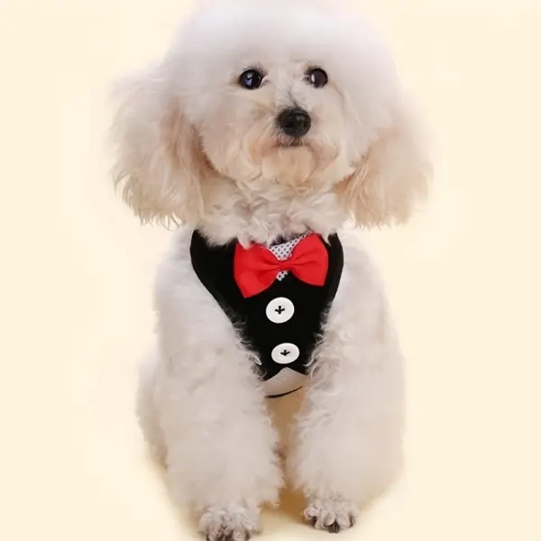Tuxedo Harness Vest with Leash Large for Small Breed