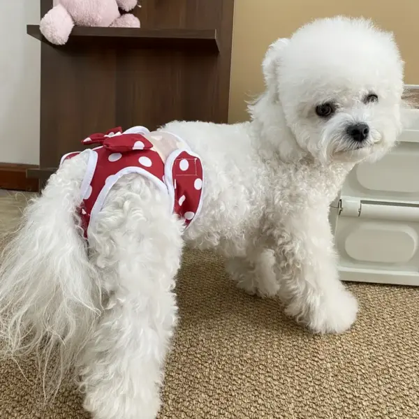 Red Dot Reusable Adjustable Dog Diaper Pants XL for Small Breed