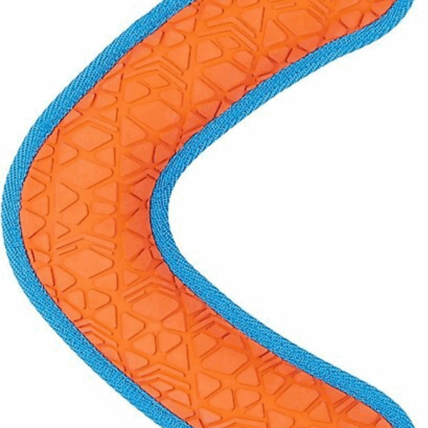 All Kind Tug & Fetch No Squeak Boomerang Dog Toy