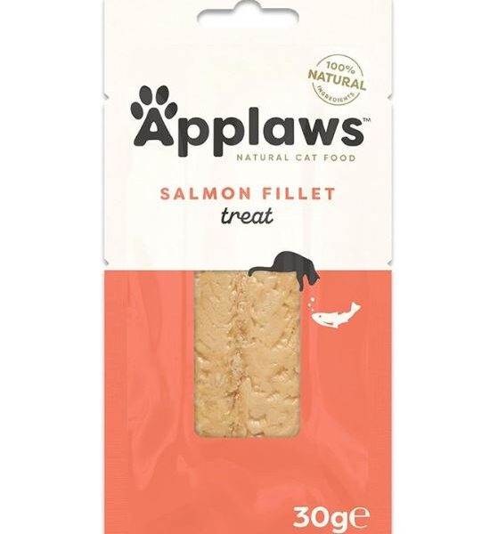 Applaws Salmon Fillet Cat Treats 30g