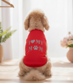 Gemini Generated Image Dlor4ddlor4ddlor