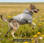 WhatsApp Image 2026-03-12 at 1.39.27 PM (1)