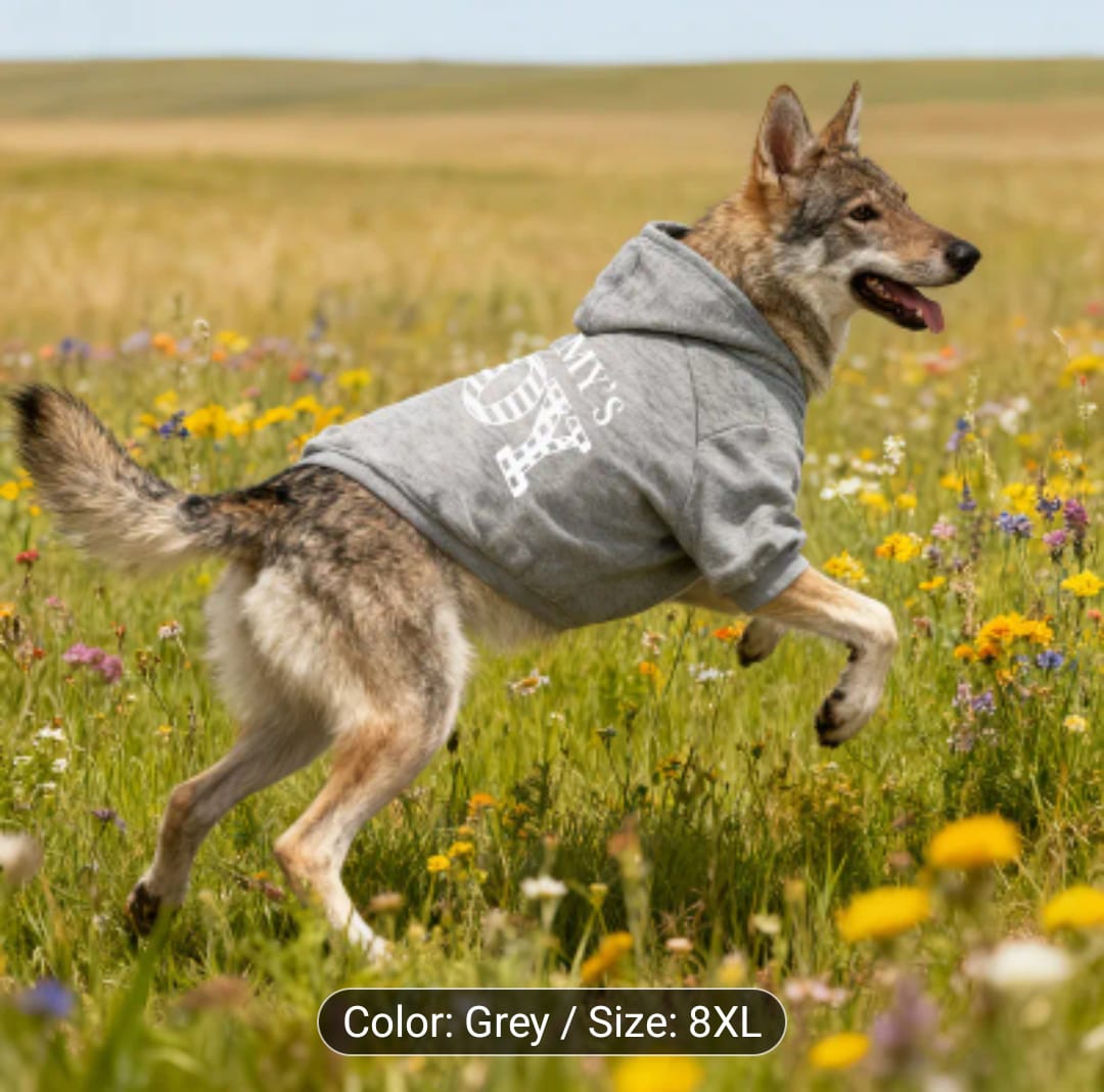 WhatsApp Image 2026-03-12 at 1.39.27 PM (1)