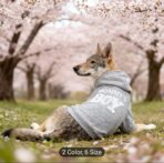 WhatsApp Image 2026-03-12 at 1.39.27 PM