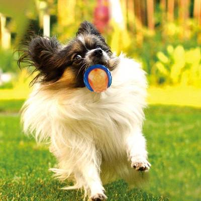 14cae7d58e4c456fa28a2fd7bcef26e7 Goods