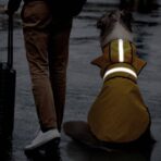 523255a1c24c4ac4ae4c46a4696bd6f7 Goods