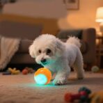 31ad 45b2 83a4 65d60b0f08ff