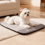 A2e5bac8 6299 4848 A9ab 54781819f882